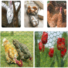 Huhn und Kaninchen SS Hexagonal Wire Mesh